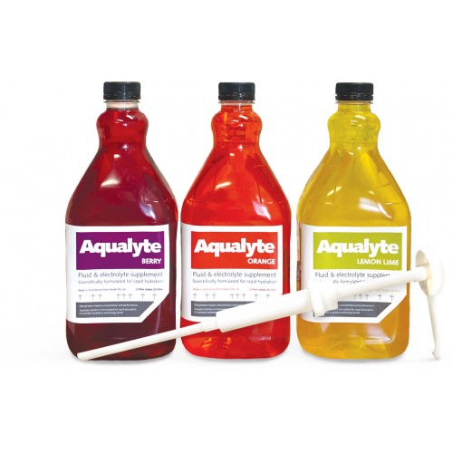 Aqualyte 80gm Sachet Electrolyte Solution - 20 Pack - TIAS 